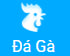 dg66