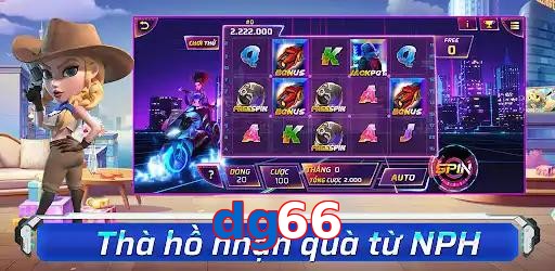 dg66
